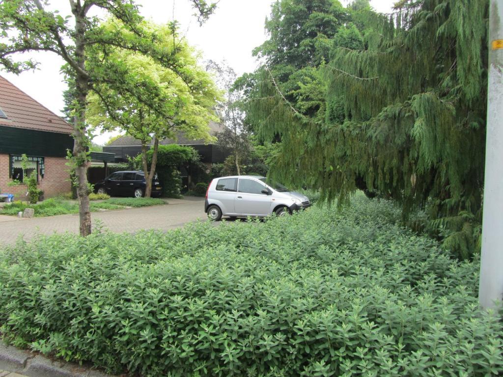 B&B Molenzicht Warnsveld Exteriér fotografie